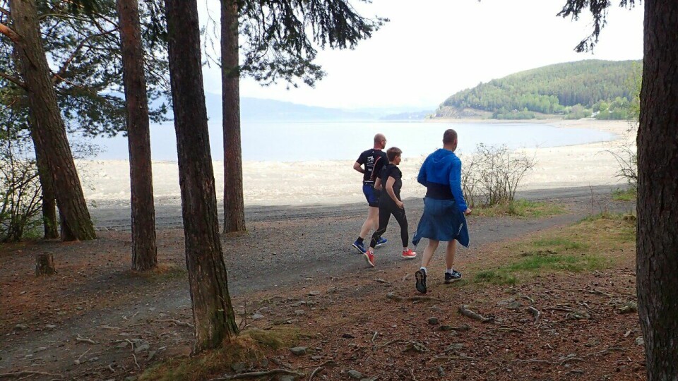 Nå kan du samle kilometer gjennom hele året i Kondisløpet Tre løpere som løper kyststien langs Mjøsa fra Domkirkeodden mot Storhamar