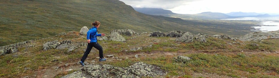 Maraton høst 2021 Haugseter Fjellstue i Jotunheimen og området rundt